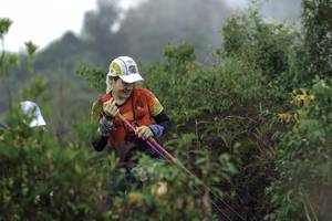 BIB: 
                            <button type="button" onclick="openModal(24759926)" class="btn btn-primary btn-sm float-right btn-popup" data-toggle="modal" data-target=".modal-high-quality">
                        <i class="fas fa-shopping-cart"></i> Add to Cart
                    </button>
                                            <button type="button" onclick="isThisMe(24759926, true)" class="btn btn-success btn-sm float-right btn-popup btn-isme hidden" data-toggle="tooltip" data-placement="bottom" title="นี่คือรูปของคุณใช่ไหม คลิกที่นี่เพื่อเอาเข้าอัลบั้ม">
                        <i class="fas fa-plus"></i> Add to album
                    </button>
                    <button type="button" onclick="isThisMe(24759926, false)" class="btn btn-warning btn-sm float-right btn-popup btn-isnotme hidden">
                        <i class="fas fa-ban"></i> Remove from album
                    </button>